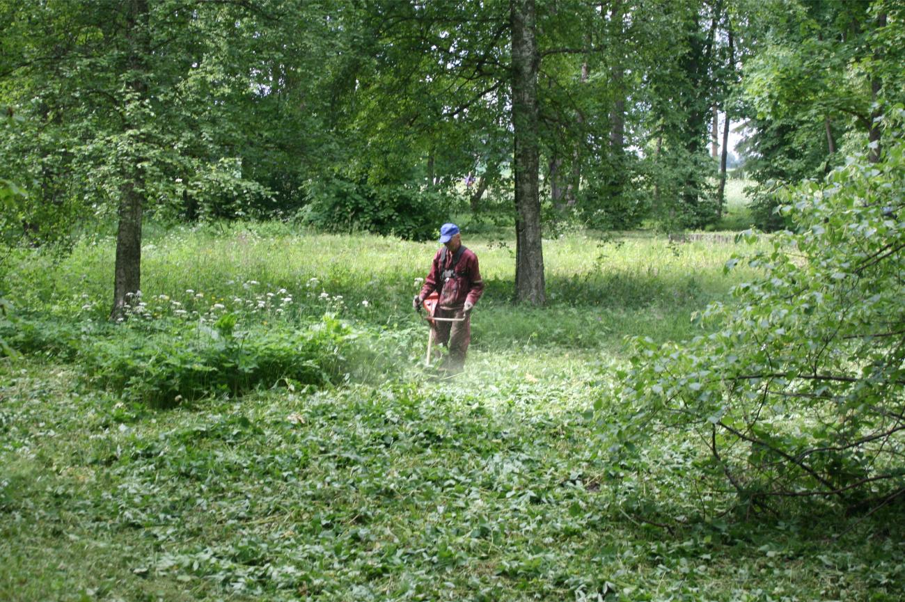 Muru niitmine ja trimmerdamine
